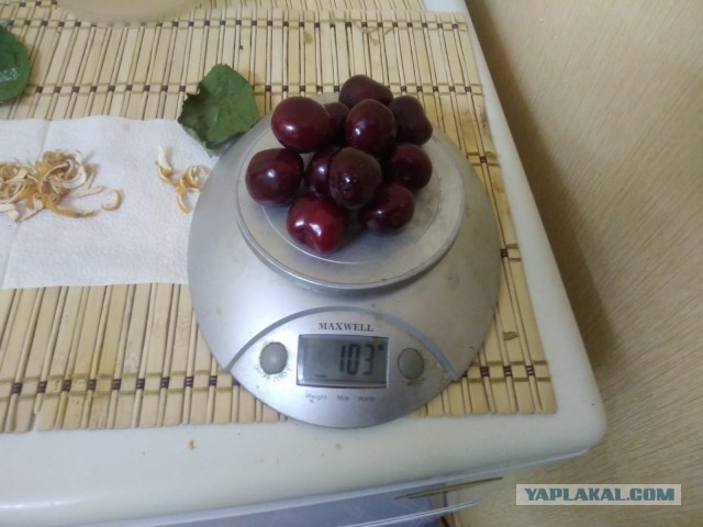 Земляника