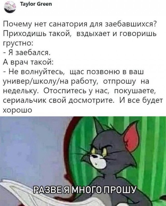 Скриншоты и комментарии из социальных сетей 16.09.22