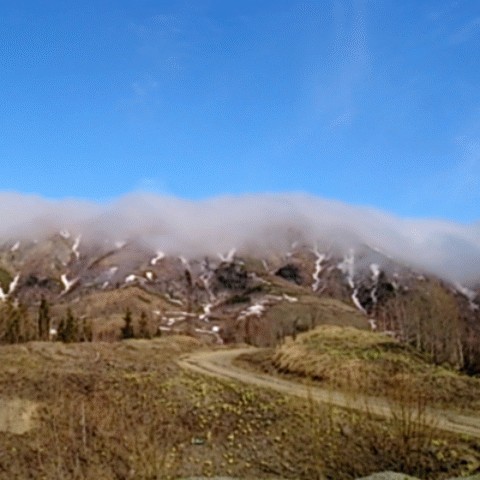 Поделимся красивыми фото с телефона?