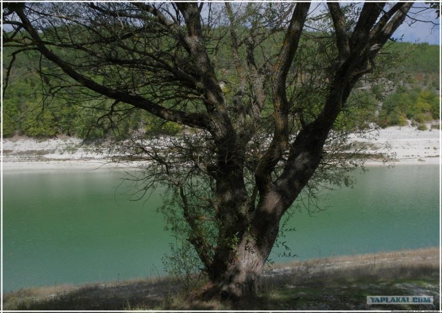 Крым. Новоульяновка. Водохранилище.