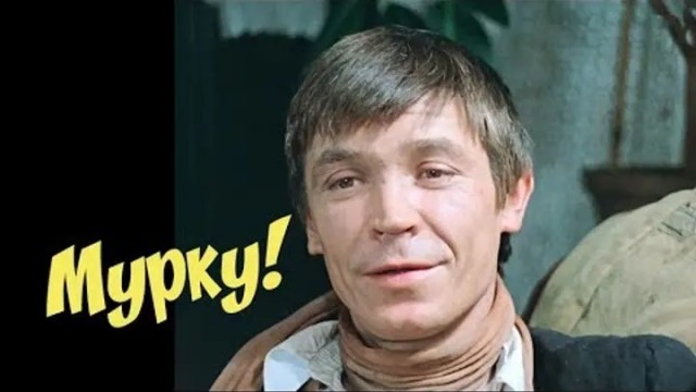 Обращаюсь к мудрейшим - помогите назвать котика!