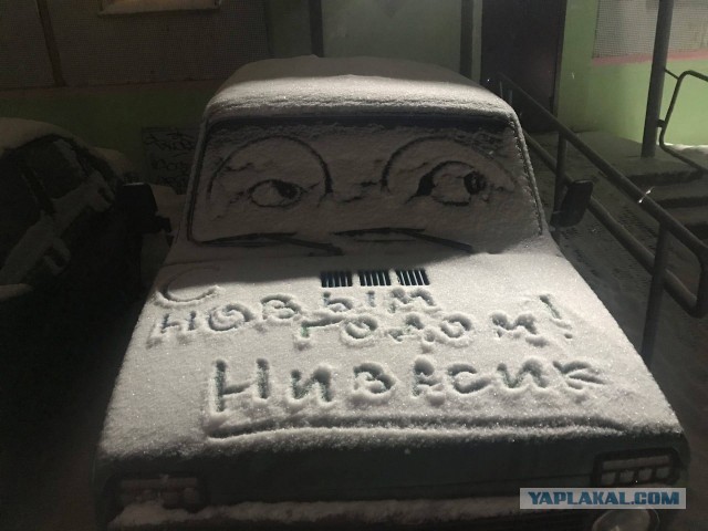 Нивасик