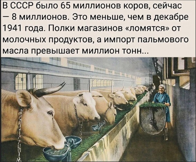 Ростовская фирма превратила 72 грамма молока в 16 килограммов продуктов