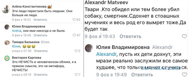 Астраханцы или собаки? Открытое письмо Олегу Шеину