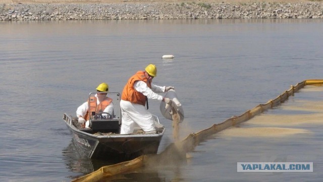 Так как же очистить Черное море от мазута?