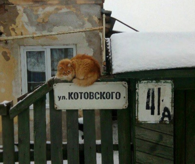 Нуштош 14.01.2025. Теперь ждем лета (s3e2)