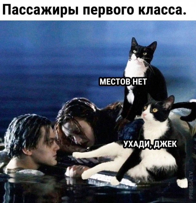 Веселые картинки в понедельник (03.03)