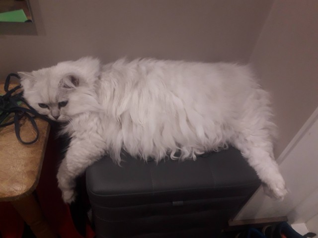 Когда ж пятница то вечерняя?  Что б завеселиться!