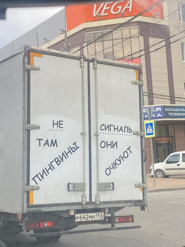 Веселые картинки в маленькую пятницу (11.06)