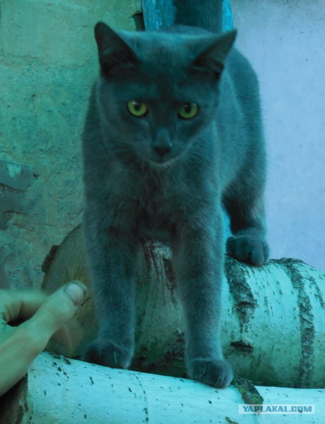 А ты живи с этим