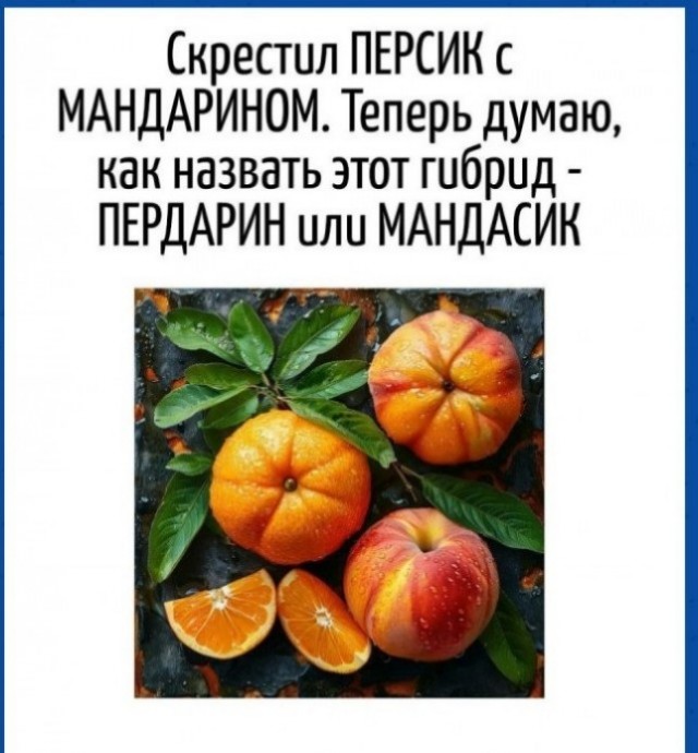 Картинки для деградации 71 (разной степени свежести)