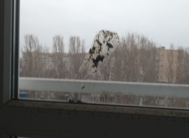 Вот так, нагадили.