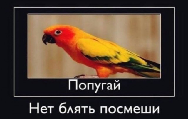 Дегрономикон 7