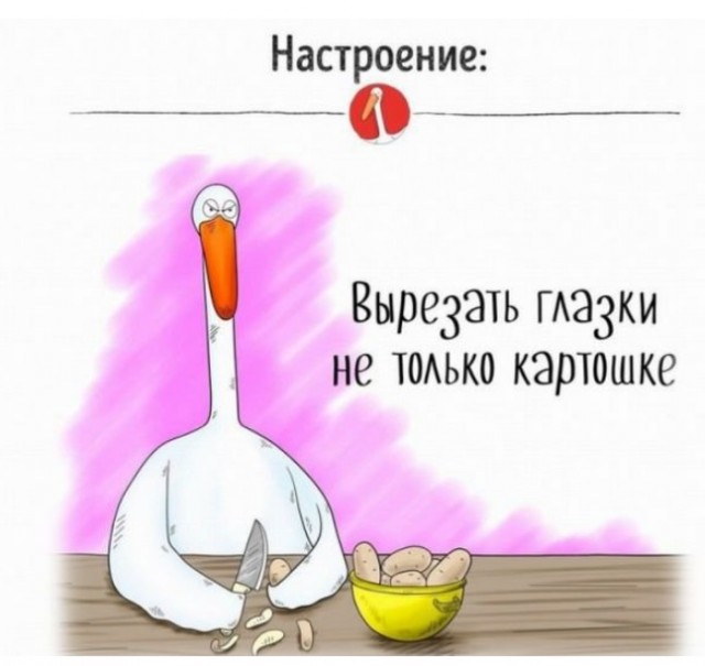 Картинки для деградации 127 (разной степени свежести)