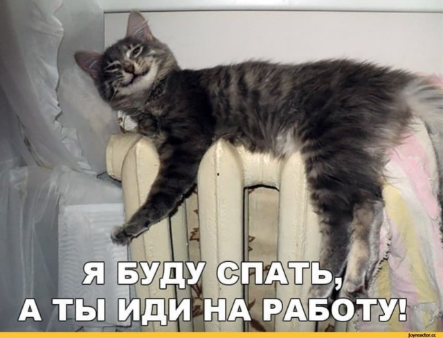 Семейная традиция
