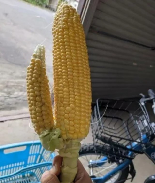 Максимально *зачёркнуто*