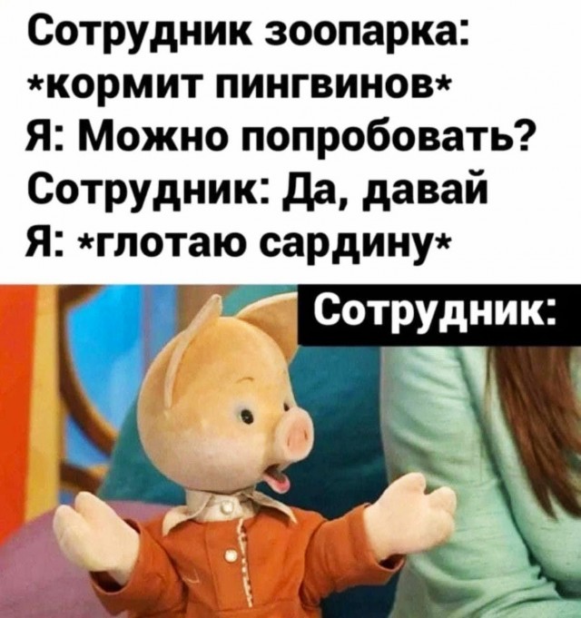 Картинки для деградации 158 (разной степени свежести)