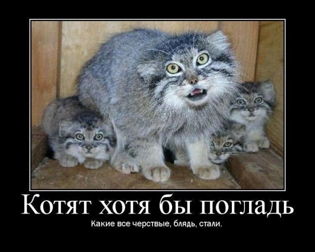 Сегодня Мeждунapoдный дeнь мaнулa