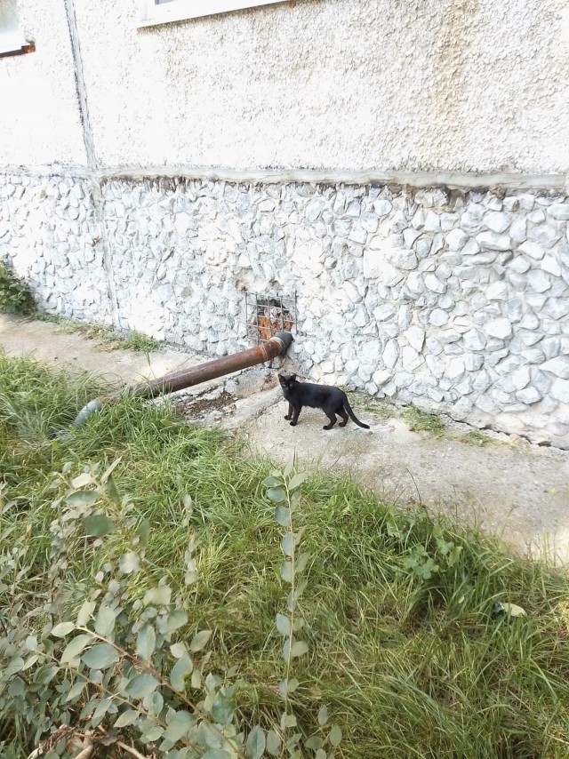 Долой анонимность, коллеги?