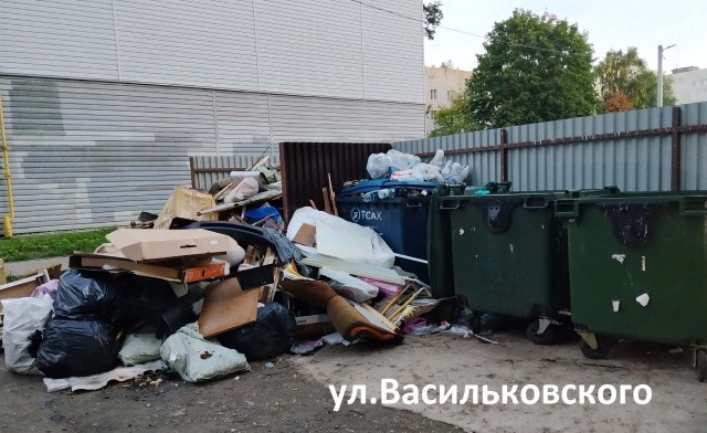 Предвыборные помойки