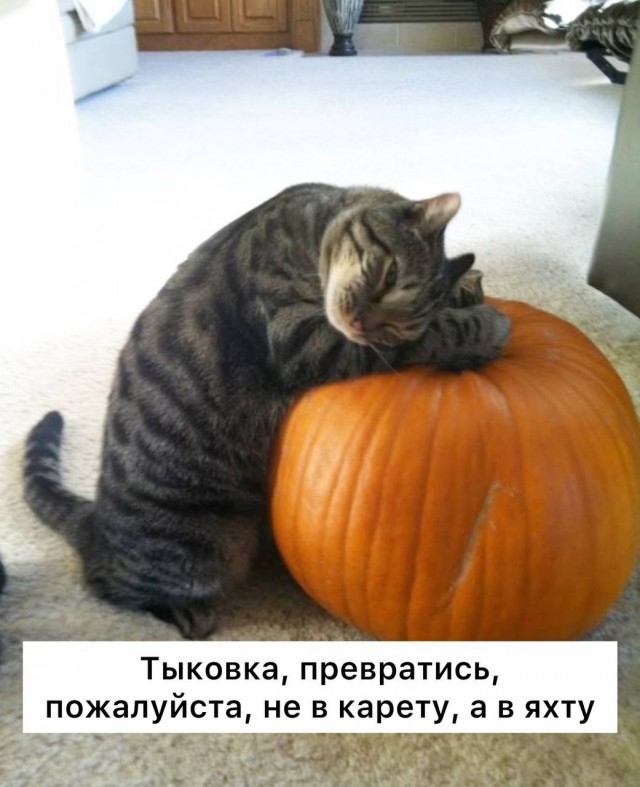 В сентябре на ВДНХ пройдет заплыв на гигантских тыквах