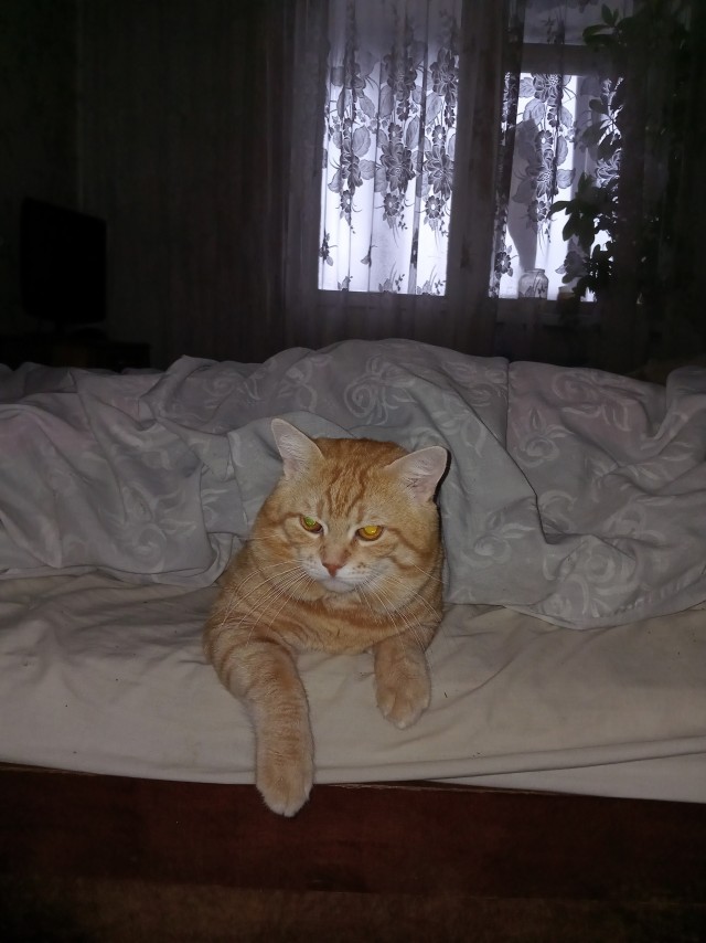 Бесконечный оранжевый цикл