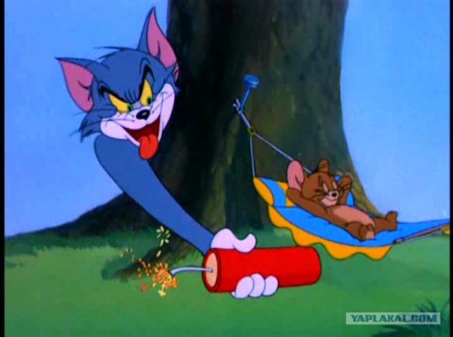 История Tom & Jerry