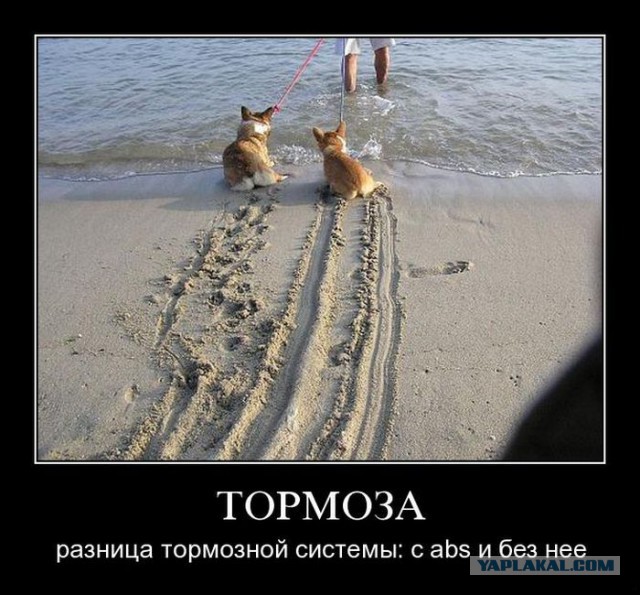 Демотиваторы.