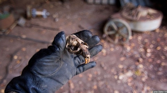На задворках ракетного завода