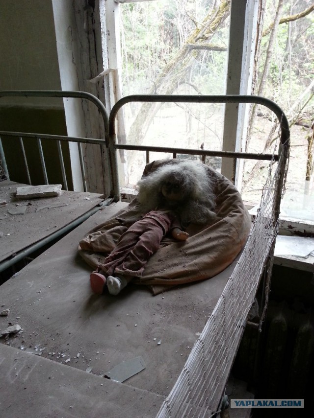 Поездка в Зону Отчуждения