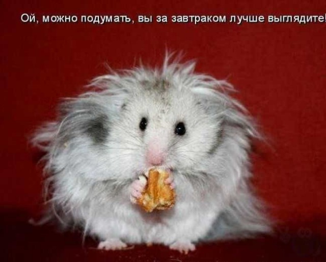 Картинки с буквами -11