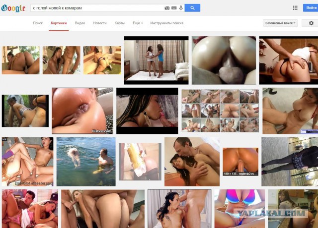 Комары по трассе Хабаровск Комсомольск