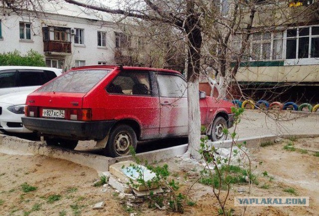 Автоприколы с бонусом