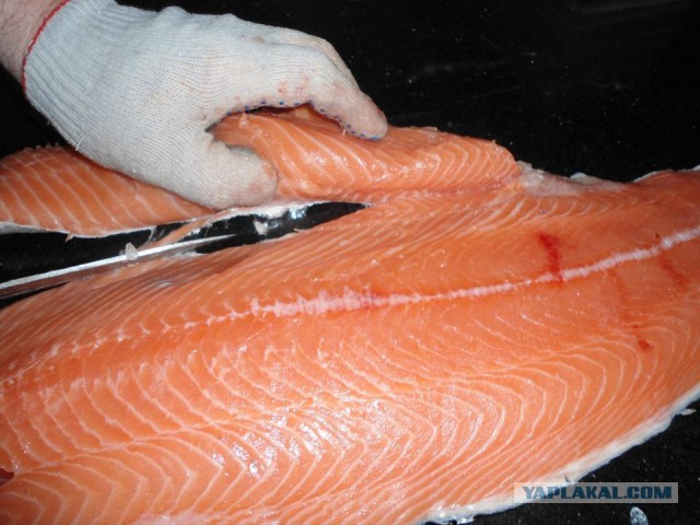 Гастрономическое путешествие мистера Andy, Кулинария для andy2308