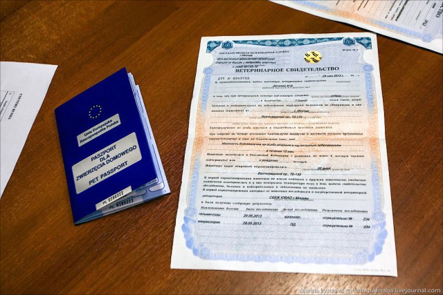 Когда угадали с подарком