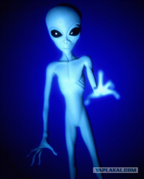 Сходил на утренник..