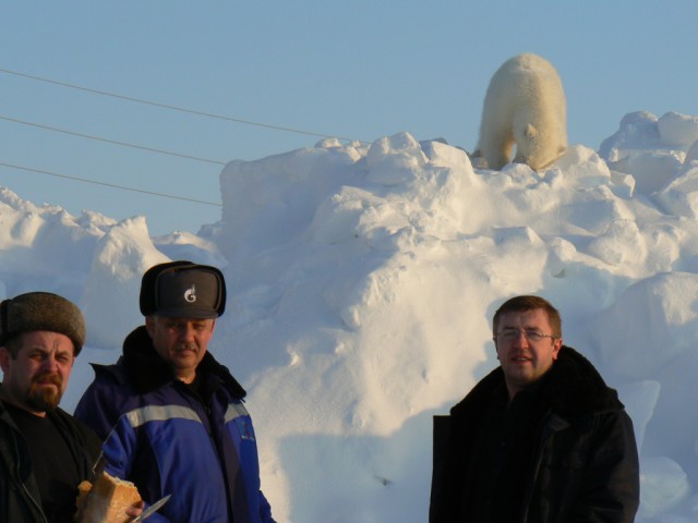 Незванный гость