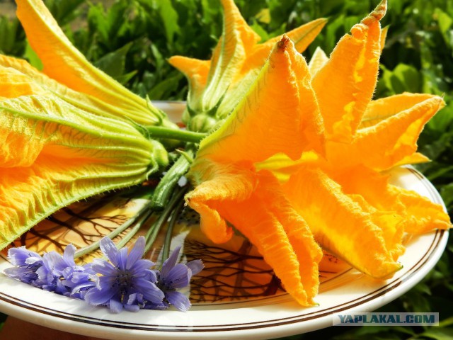 Готовят наши дети и мы готовим для детей.