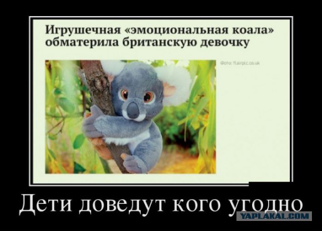 Сборная солянка картинок из разных соц.сетей