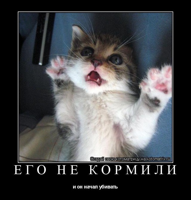 Чё хомячишь? А мне?