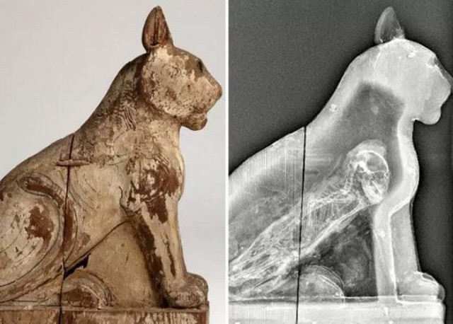 10 любопытных фактов, которые стали известны благодаря древним мумиям