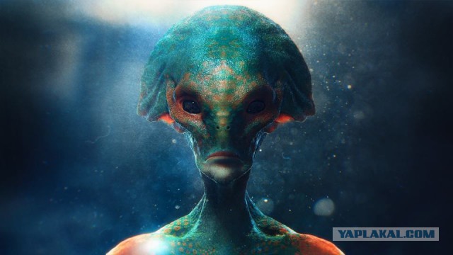 Перевал Дятлова. Конец истории