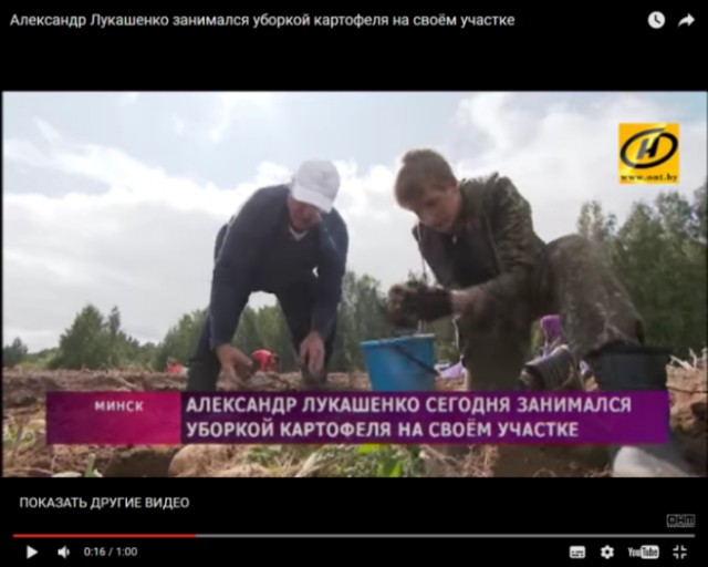 На своем подворье Александр Лукашенко собрал 105 тонн картофеля