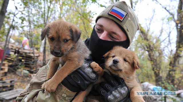 30 снимков, которые помогут улыбнуться даже в самый ненастный день