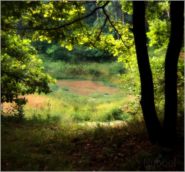 Просто Природа