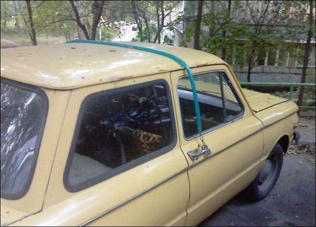 Нас не угонят!