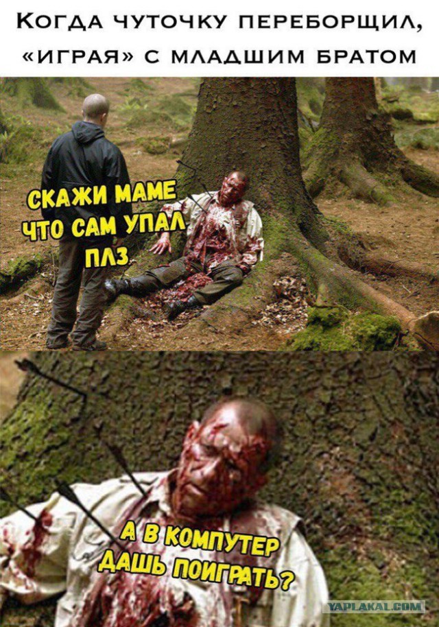 Вечер пятницы подкатил, час картинок наступил!