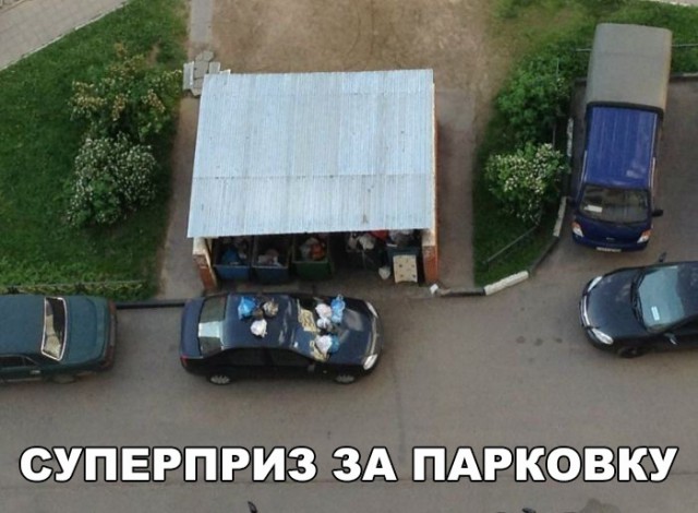 Прикольные картинки