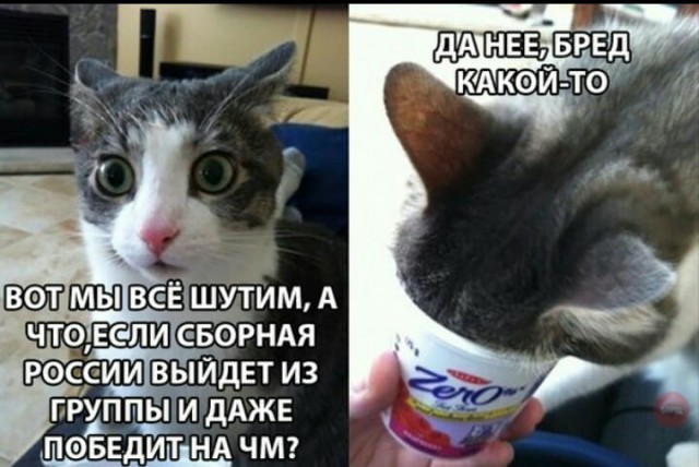 Немного картинок на вечер пятницы