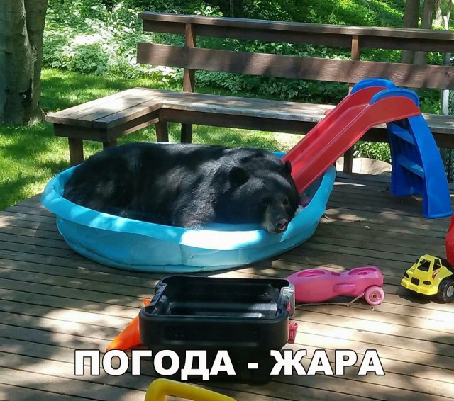 Нестандартный юмор